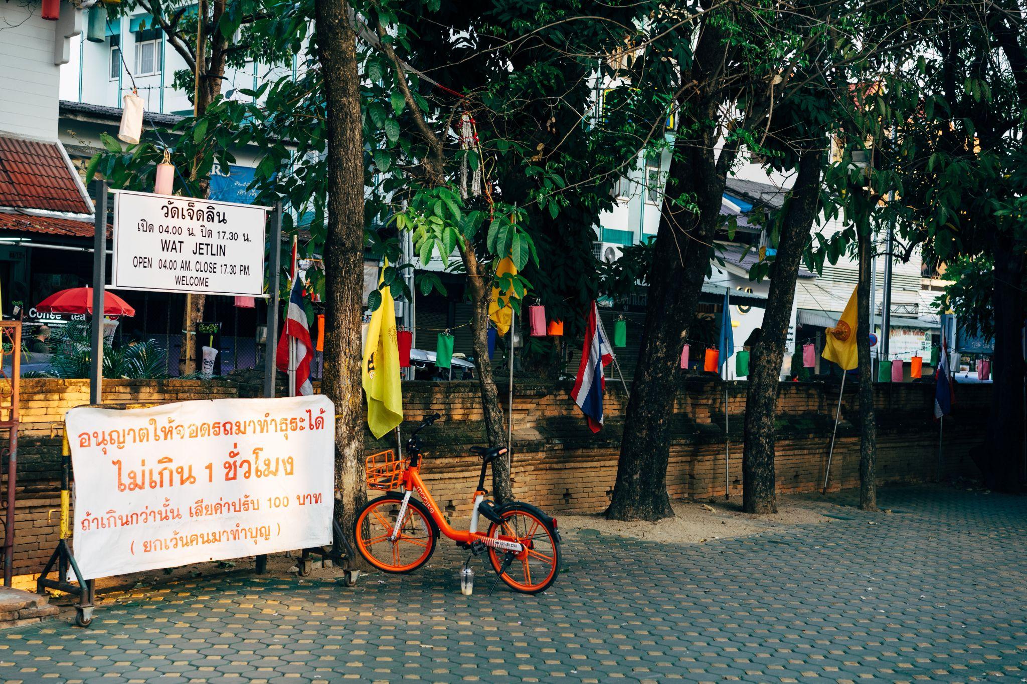 bicycle in chiang mai